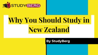 Why You Should Study in New Zealand