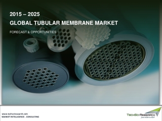 Tubular Membrane Market Size, Share & Forecast 2025