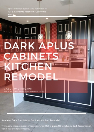 Dark Aplus Cabinets Kitchen Remodel