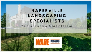 Landscapers in Illinois | Landscaping Companies in Chicago