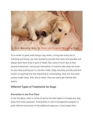 Best Worming Ways to Treat and Prevent Worms in Dogs