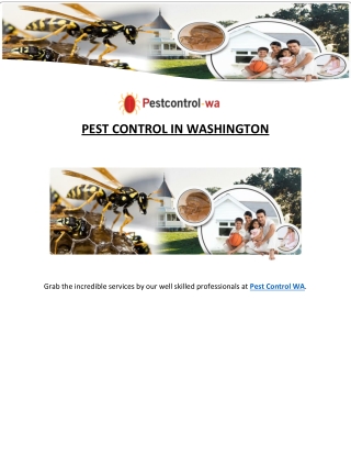 Pest Control in Washington