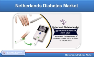 Netherlands Diabetes Market, By CGM, SMBG, Insulin Pen & Pump, Companies