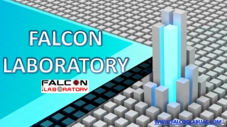 Things to know about Coring – Falcon Lab