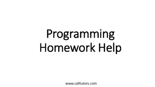 Programming Homework Help