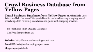 Crawl Business Database from Yellow Pages