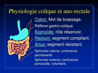 Physiologie colique et ano-rectale