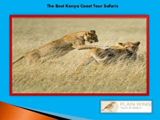 The Best Kenya Coast Tour Safaris