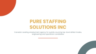 Pure Staffing Solutions - Solutions Provided