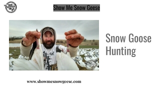 Snow Goose Hunting