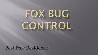 Fox Bug Control