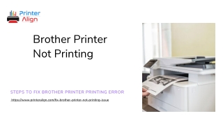 Fix Brother Printer Not Printing Error