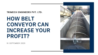 How Belt Conveyor Can Increase your Profit?