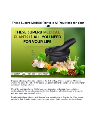 These Superb Medical Plants is All You Need for Your Life