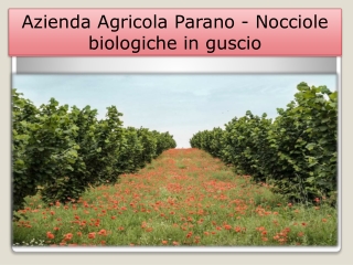 Nocciole biologiche tostate