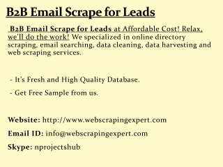 B2B Email Scrape for Leads