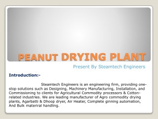 Peanut Drying Plant - Steamtech Engineers