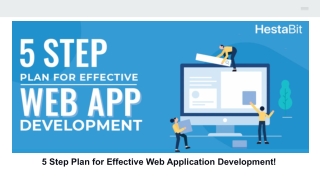 5 Step Plan for Effective Web Application Development!