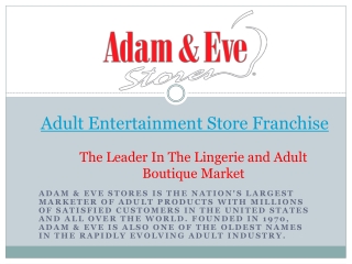 Adult Entertainment Store Franchise