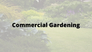 Landscape Your Garden in Commercial Design
