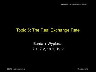 Topic 5: The Real Exchange Rate