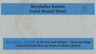 Seychelles forests by Coral Strand Hotel