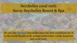 Seychelles coral reefs by Savoy Resort & Spa