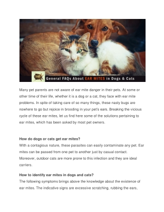 Genreal FAQs about Eat Mites in Dogs and Cats