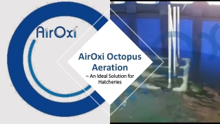 AirOxi Octopus Aeration – An Ideal Solution for Hatcheries