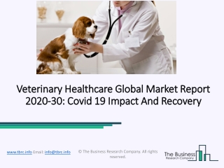 Global Veterinary Healthcare Market Overview And Top Key Players by 2030