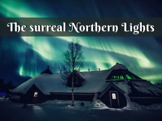 The surreal Northern Lights