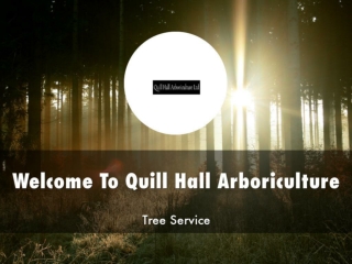 Information Presentation Of Quill Hall Arboriculture