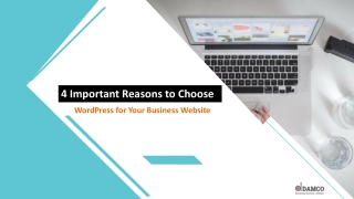 4 Important Reasons to Choose WordPress for Your Business Website