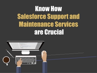 Know How Salesforce Support and Maintenance Services are Crucial