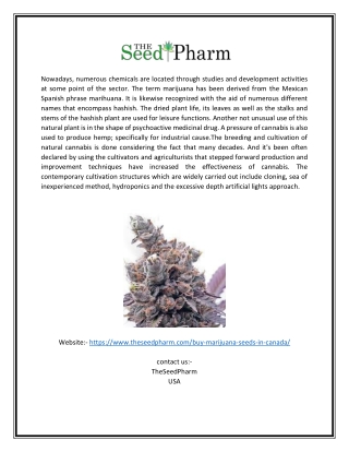Buy marijuana seeds in Canada | Theseedpharm.com