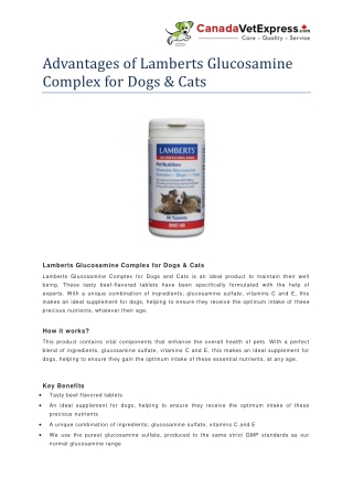 Advantages of Lamberts Glucosamine Complex for Dogs & Cats - CanadaVetExpress
