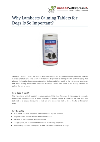 Why Lamberts Calming Tablets for Dogs  Is So Important - CanadaVetExpress