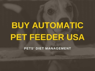 Buy Automatic Pet Feeder USA