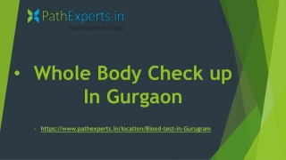 Whole Body Check-up in Gurgaon-Pathexperts.in