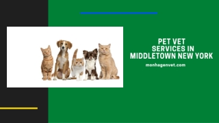 Pet Vet Services in Middletown New York