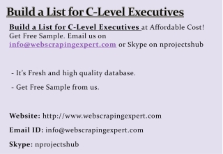 Build a List for C-Level Executives