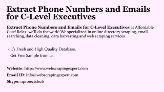 Extract Phone Numbers and Emails for C-Level Executives