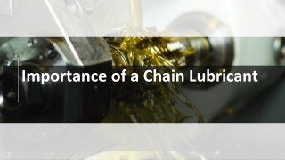 Importance of a Chain Lubricant