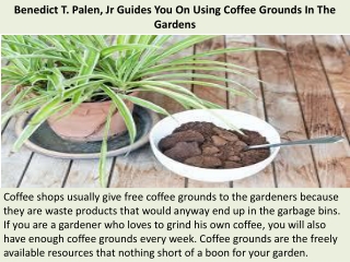 Benedict T. Palen, Jr Guides You On Using Coffee Grounds In The Gardens