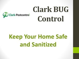 Clark Bug Contrrol