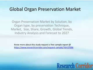 Organ Preservation Market by Solution, by Organ type, by preservation Technique, Market,  Size, Share, Growth, Global Tr
