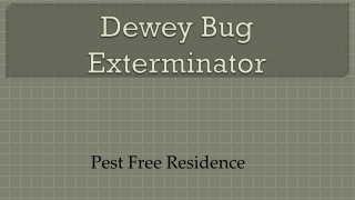 Dewey Bug Exterminator