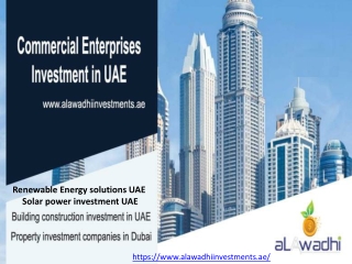 Dubai investment industries