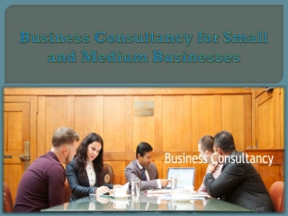 Business Consultancy for Small and Medium Businesses