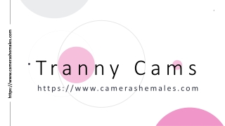 tranny cams